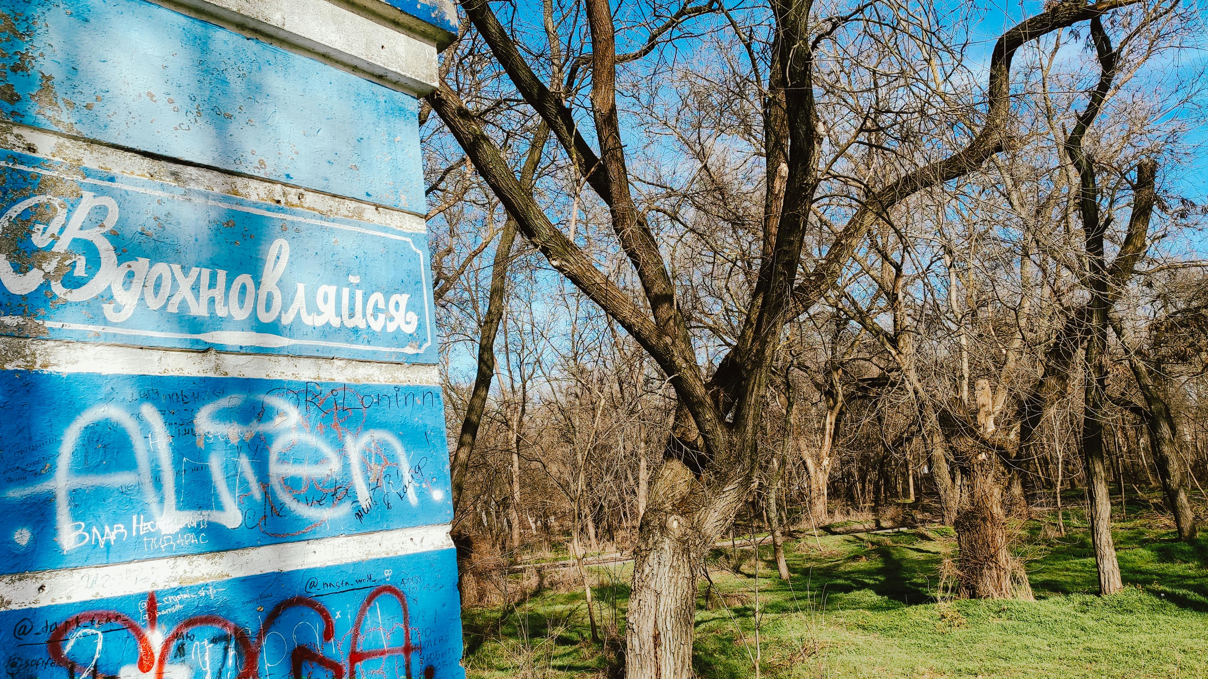 Person writing a health plan while drinking herbal tea