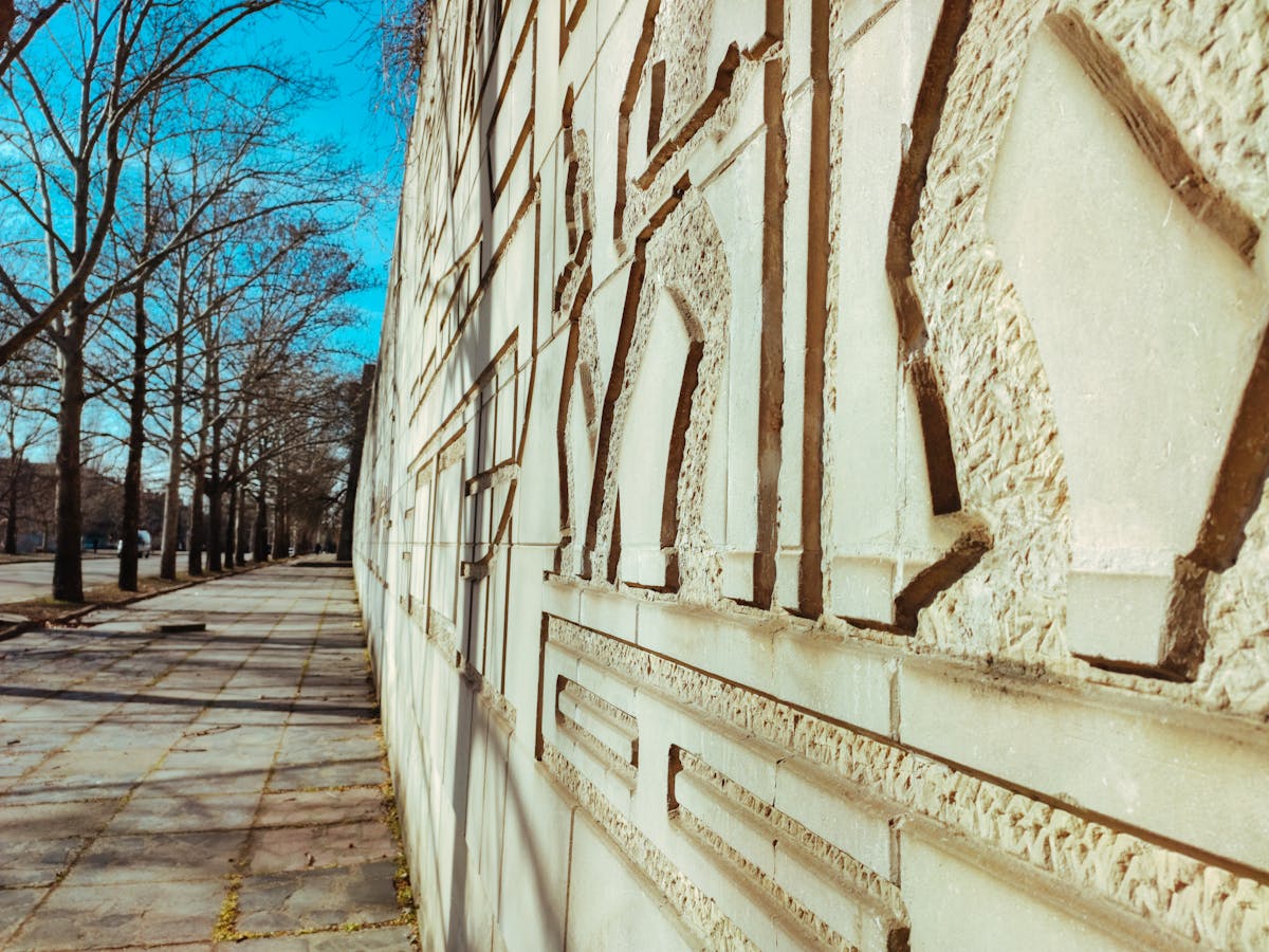 Cup of mushroom coffee with ground mushrooms and coffee beans on a rustic board