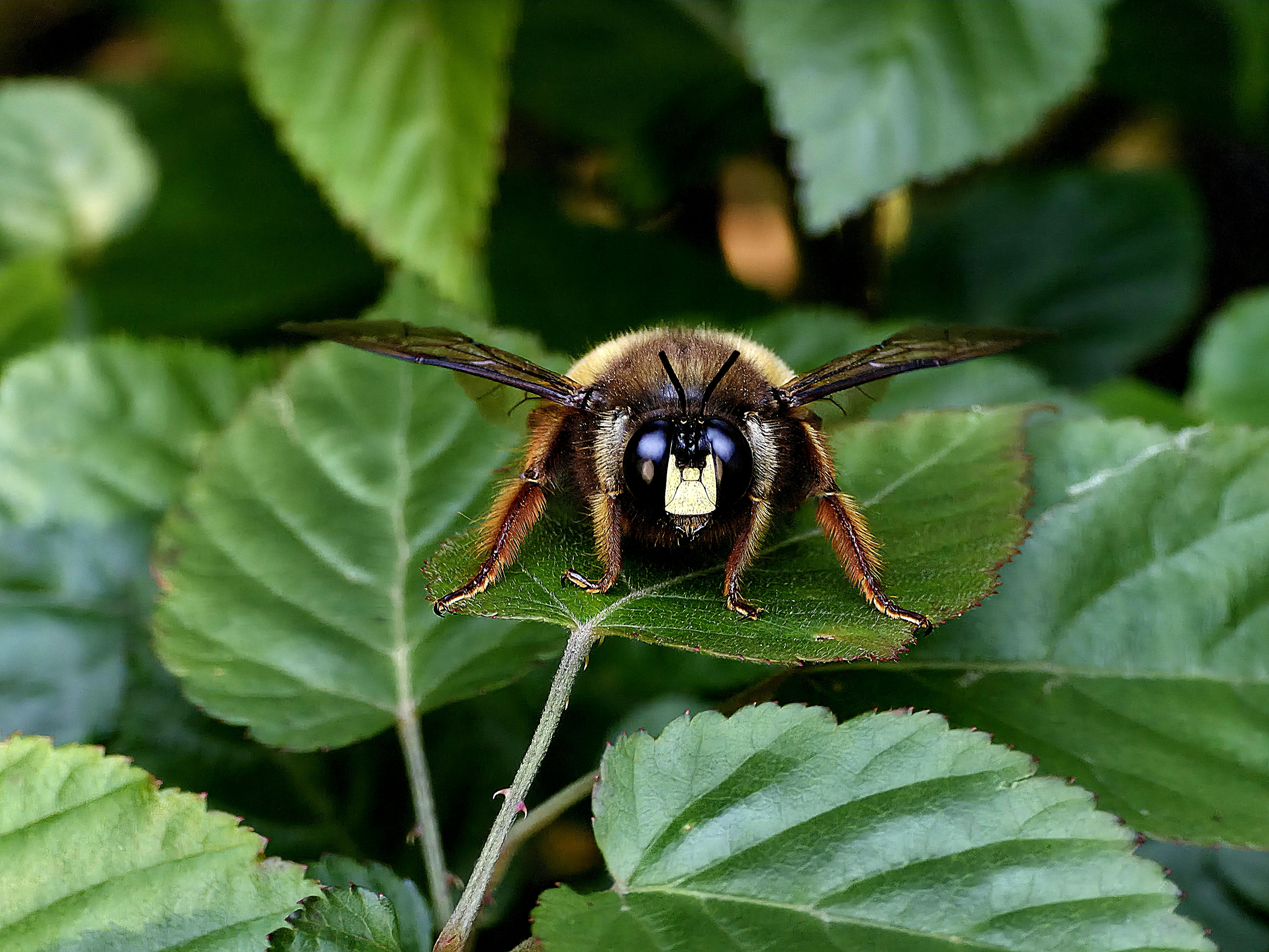 Ark Valley Civics Bee Competition to Send Three Local Students to State — Photo by oner st on Pexels