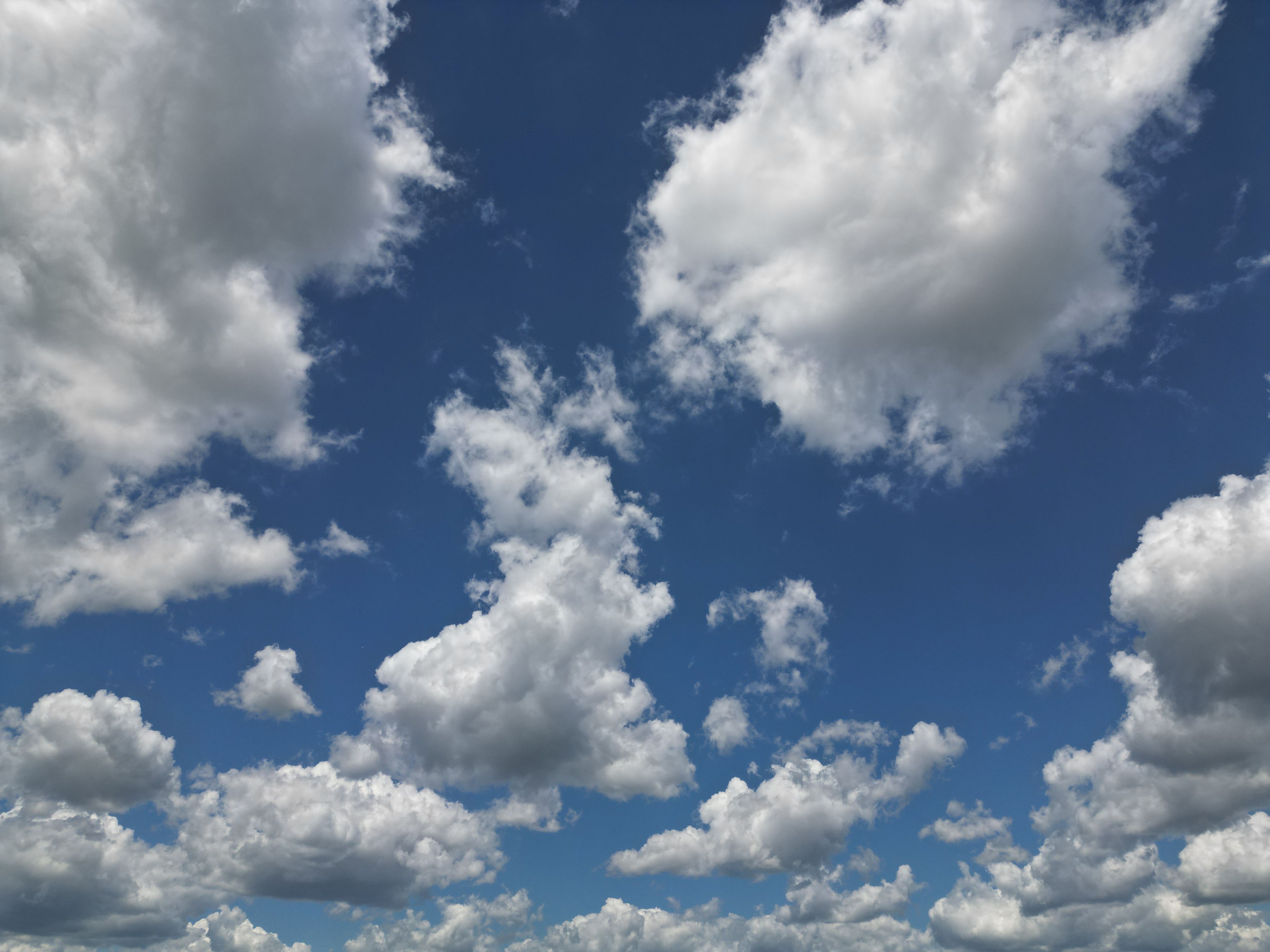 Microsoft showcases new PC, cloud AI tools at developer conference - The Spokesman — Photo by Giant Asparagus on Pexels