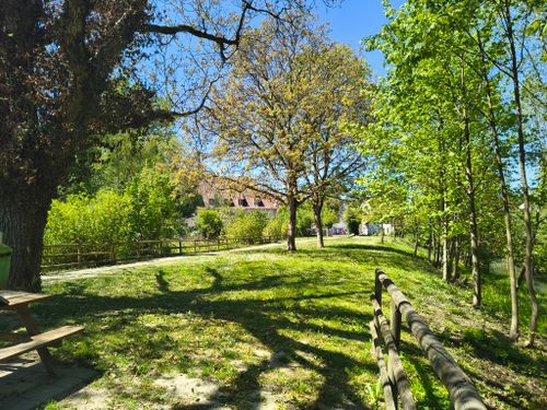 Free Tranquil park scene with trees and sunlight in spring, perfect for relaxation and nature walks. Stock Photo