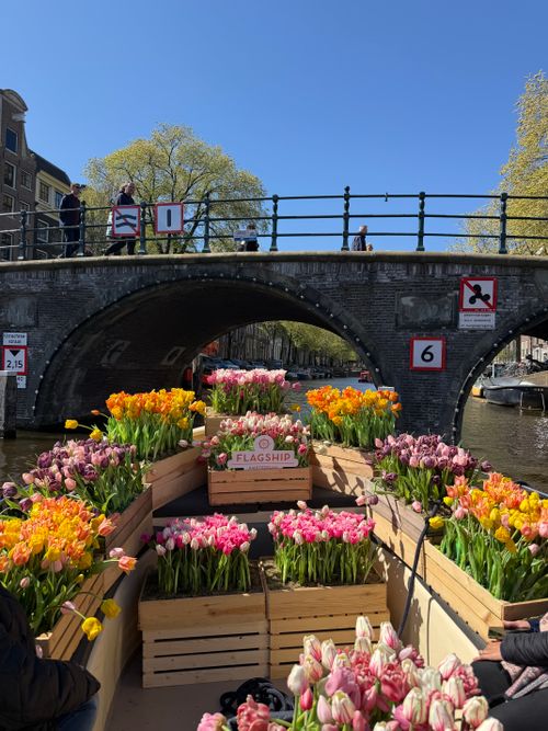 Boat tour near Keukenhof Tulip Festival