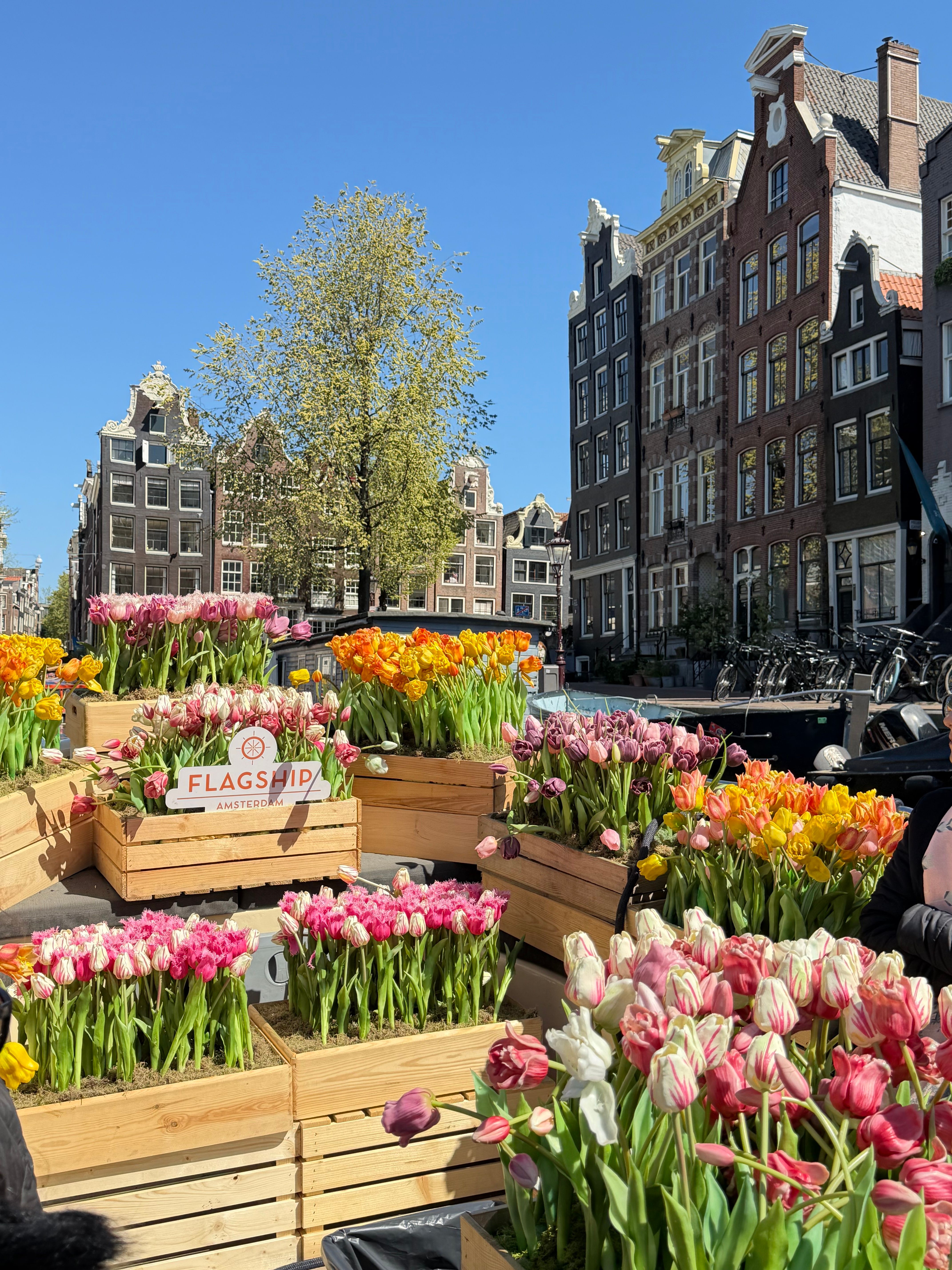 Visiter Amsterdam en 5 jours : guide pratique 2026 