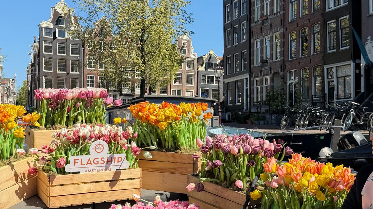 Visiter Amsterdam en 5 jours : guide pratique 2026