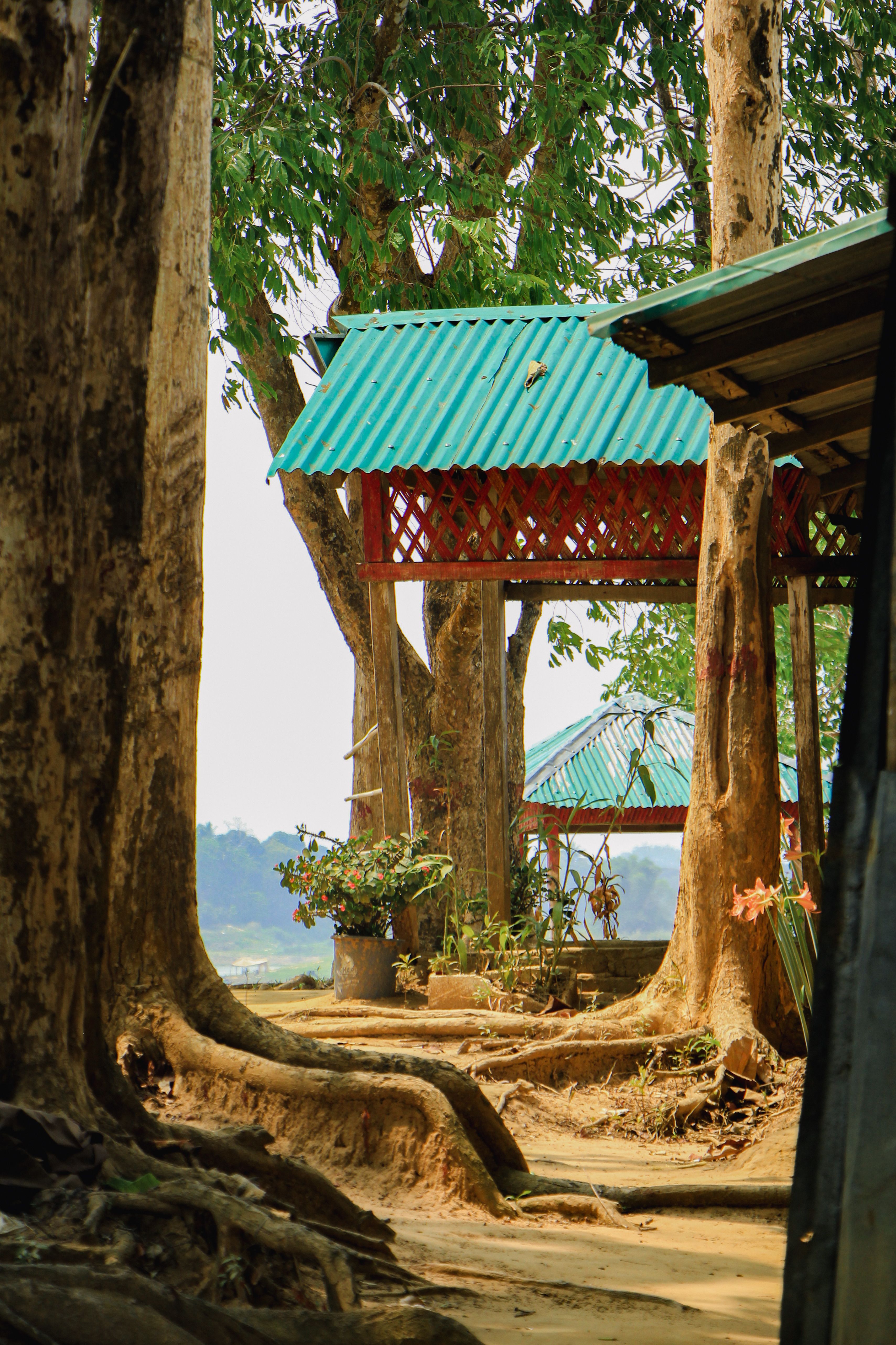 Serene outdoor space with rustic gazebos and trees, creating a peaceful retreat.