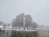 白雪覆盖的树木与宁静的湖泊，共同勾勒出迷人的冬季雪景，突显了降雪之美