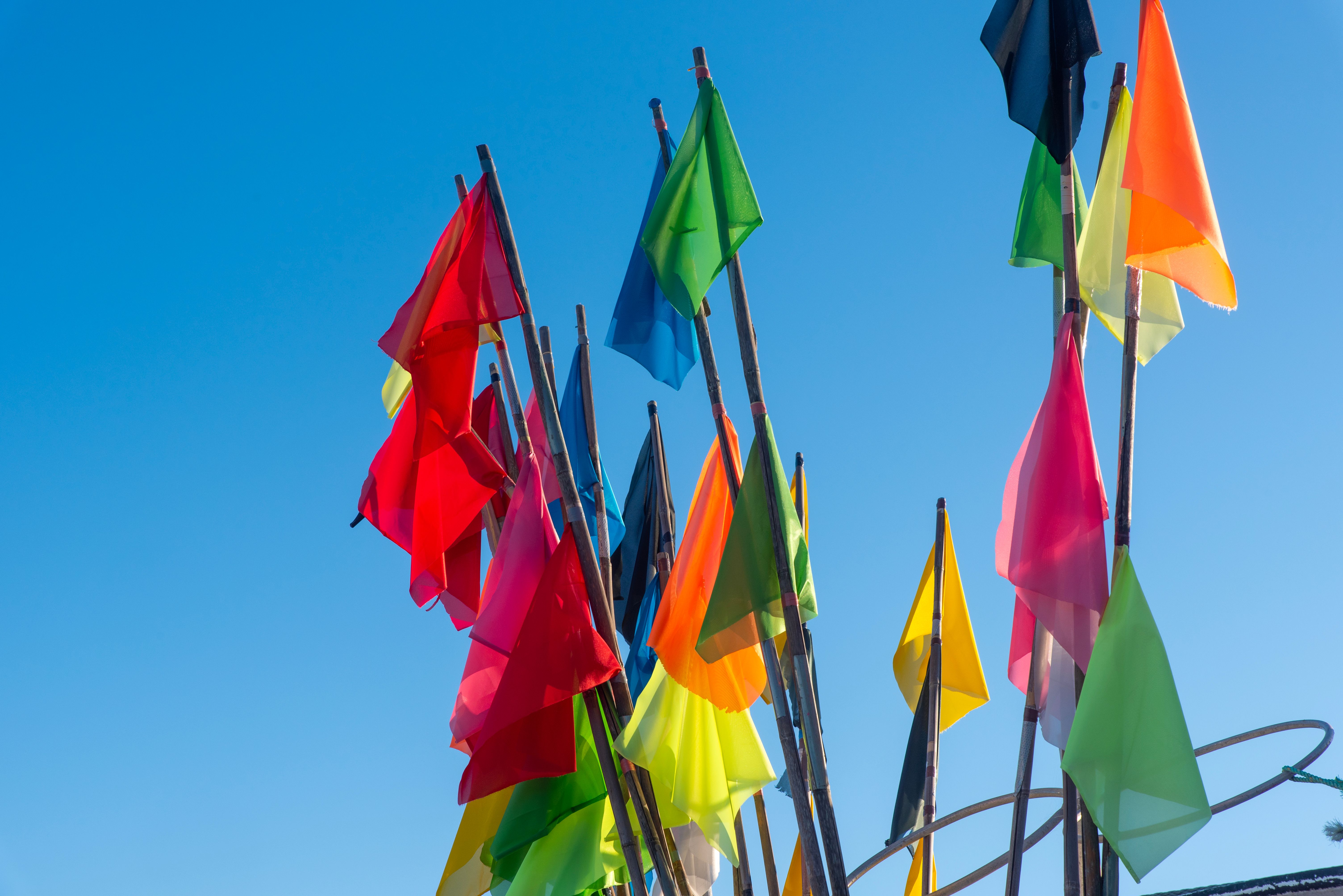 How psychologists can spot red flags in mental health apps — Photo by Jan van der Wolf on Pexels
