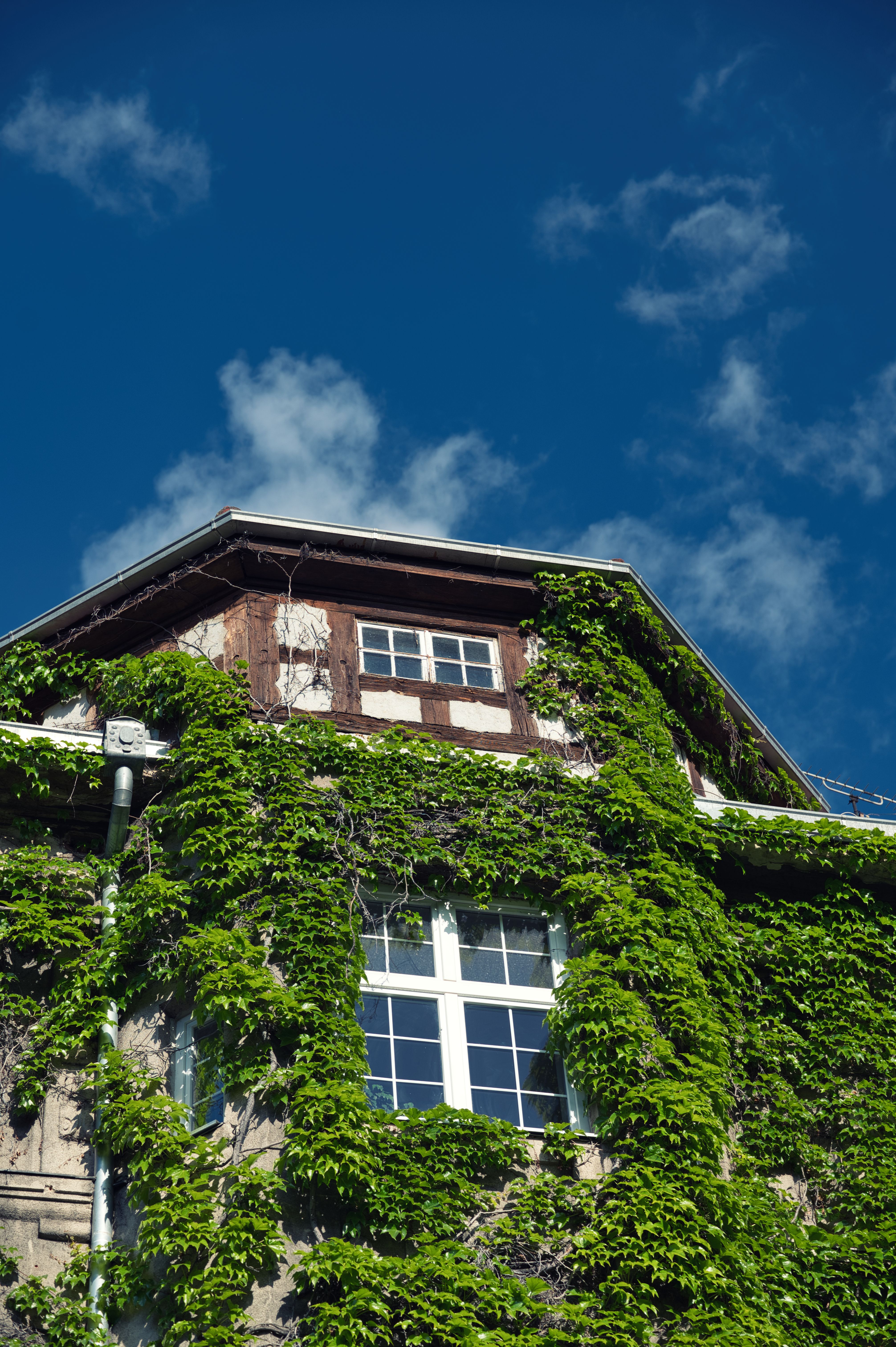Free Elegant historic building in Zagreb covered in green ivy, under a vibrant blue sky. Stock Photo