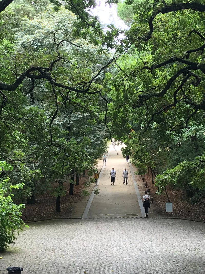 Terapeuta Holística