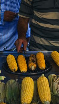 A street vendor grills corn on the cob outdoors, showcasing a popular snack.