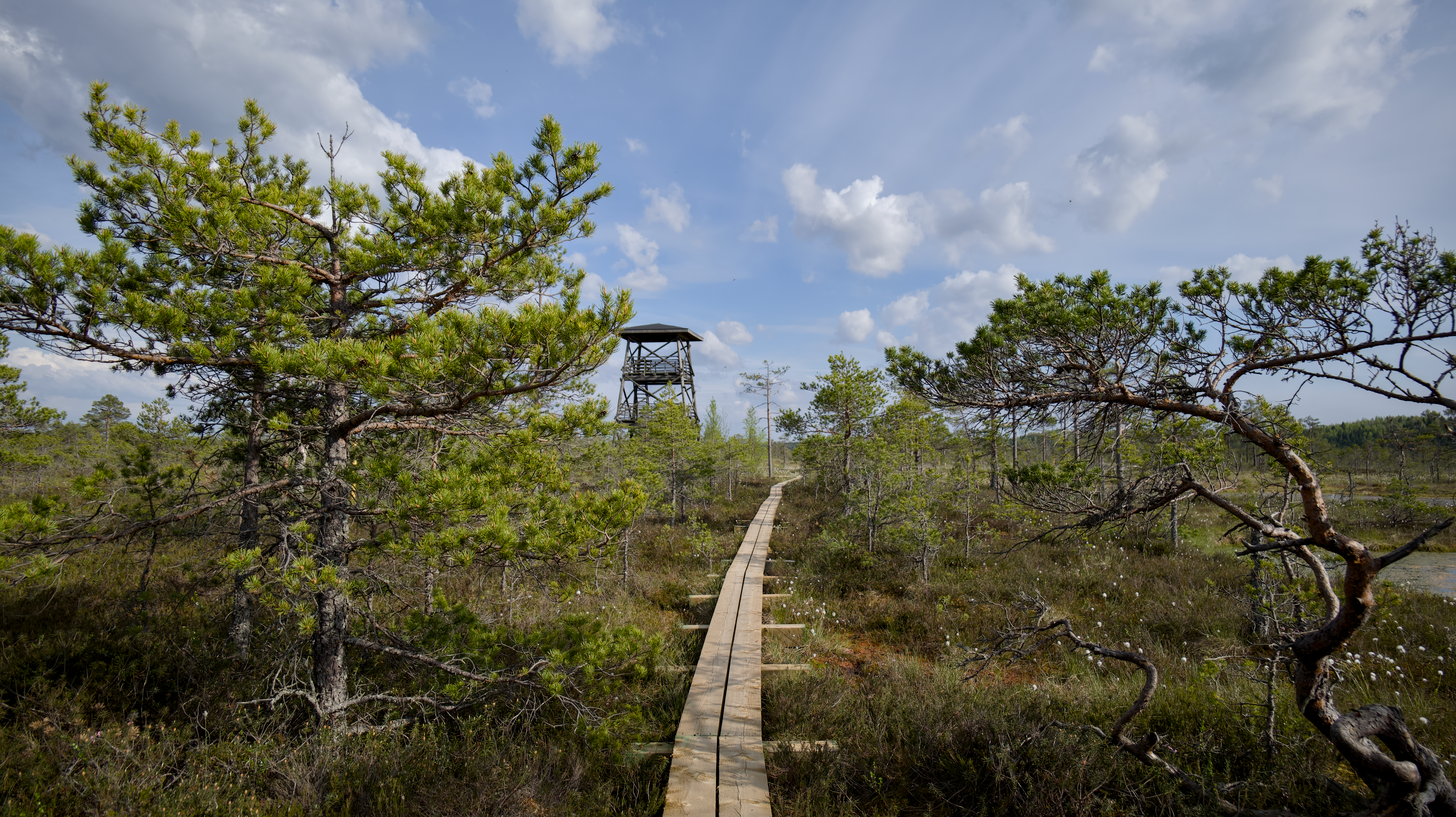 Kemeri National Park