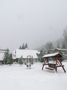 Idyllic snowy landscape in Bușteni with wooden benches and snow-covered fir trees.