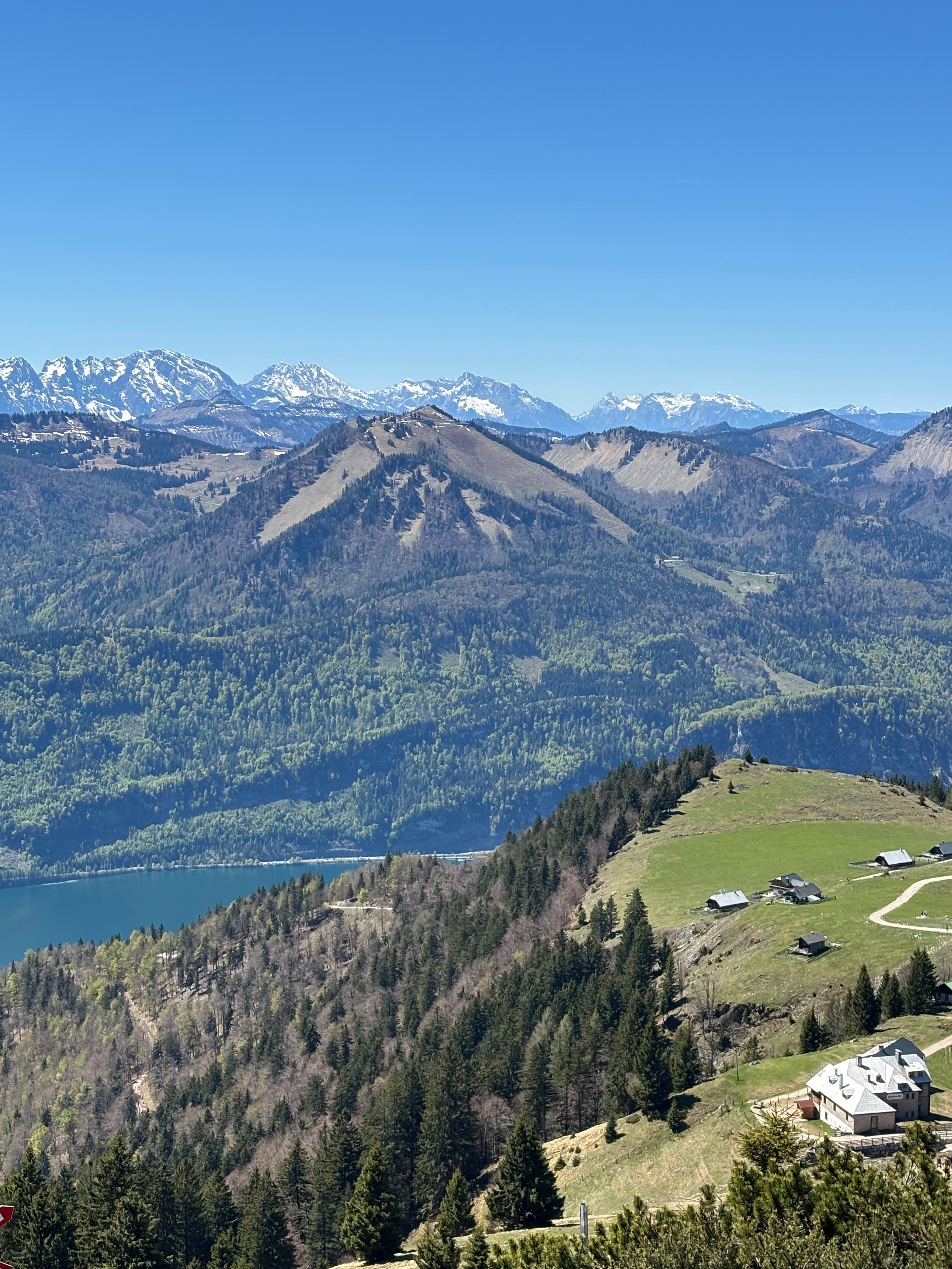 Breathtaking alpine panorama with lush greenery and distant mountains in Austria.