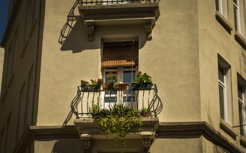 Free A picturesque balcony adorned with flowers and plants in sunlight, Istanbul. Stock Photo