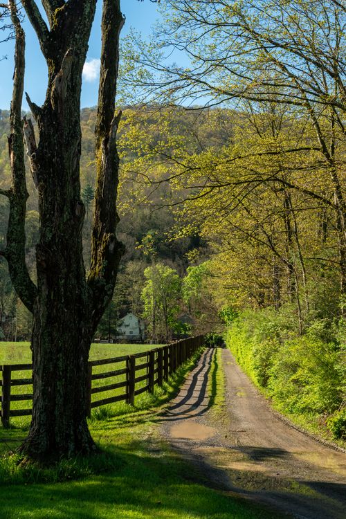 Scenic Country Road in Springtime Landscape · Free Stock Photo