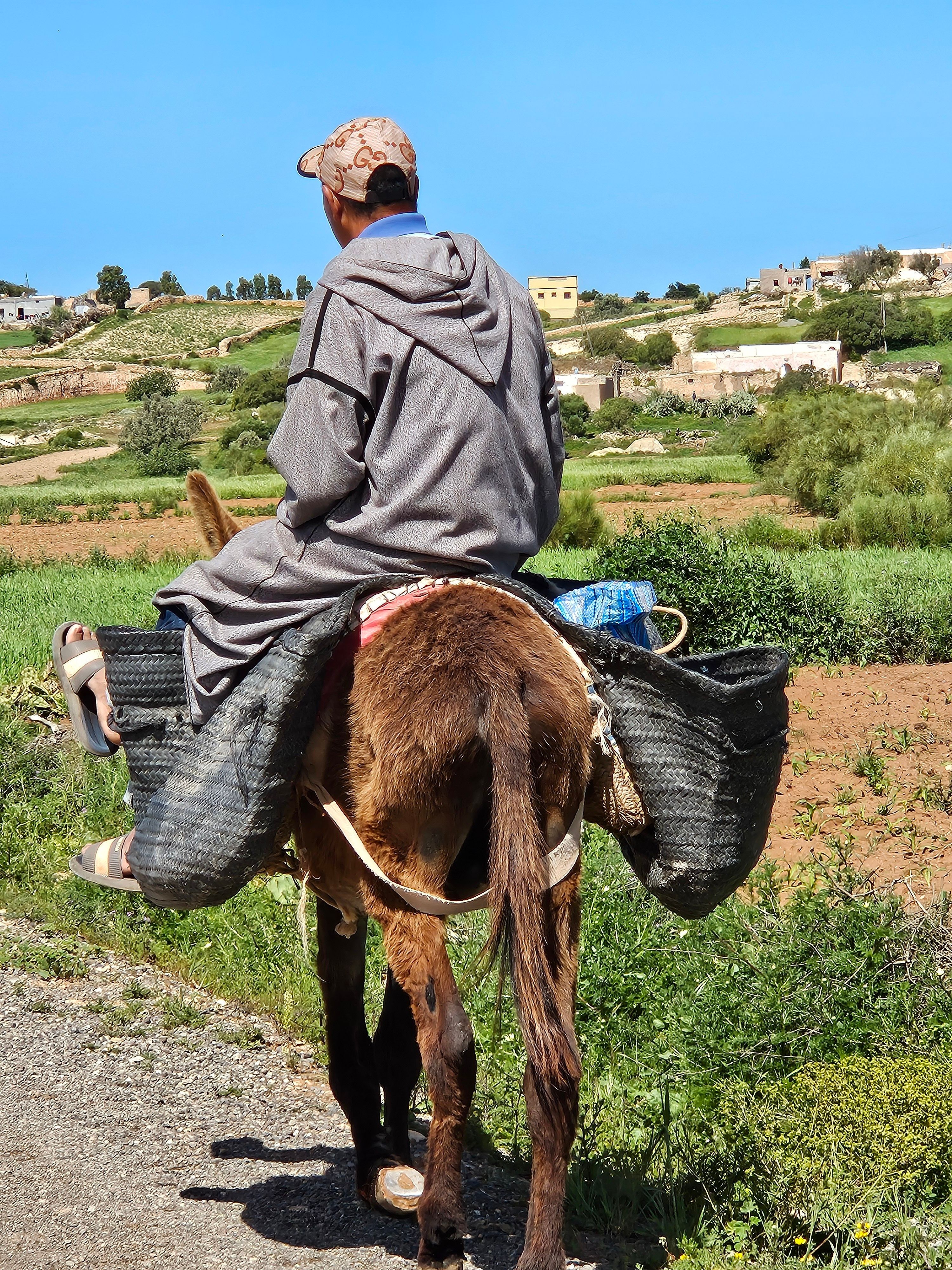 Rural Life in Khouribga: Man Riding Donkey · Free Stock Photo