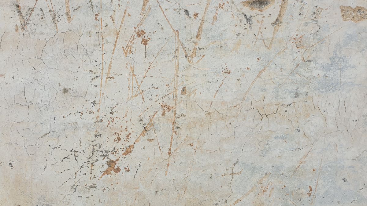 Rough Beige Textured Surface Background · Free Stock Photo
