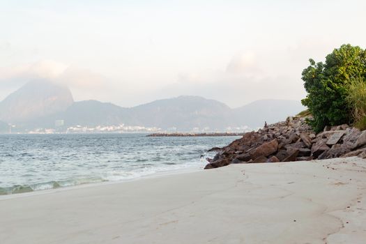 Jardim Botânico private tour — Rio de Janeiro