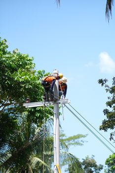 Photo by KyoRa Kee Two electricians in safety gear inspecting power lines on a utility pole surrounded by trees on a clear day.