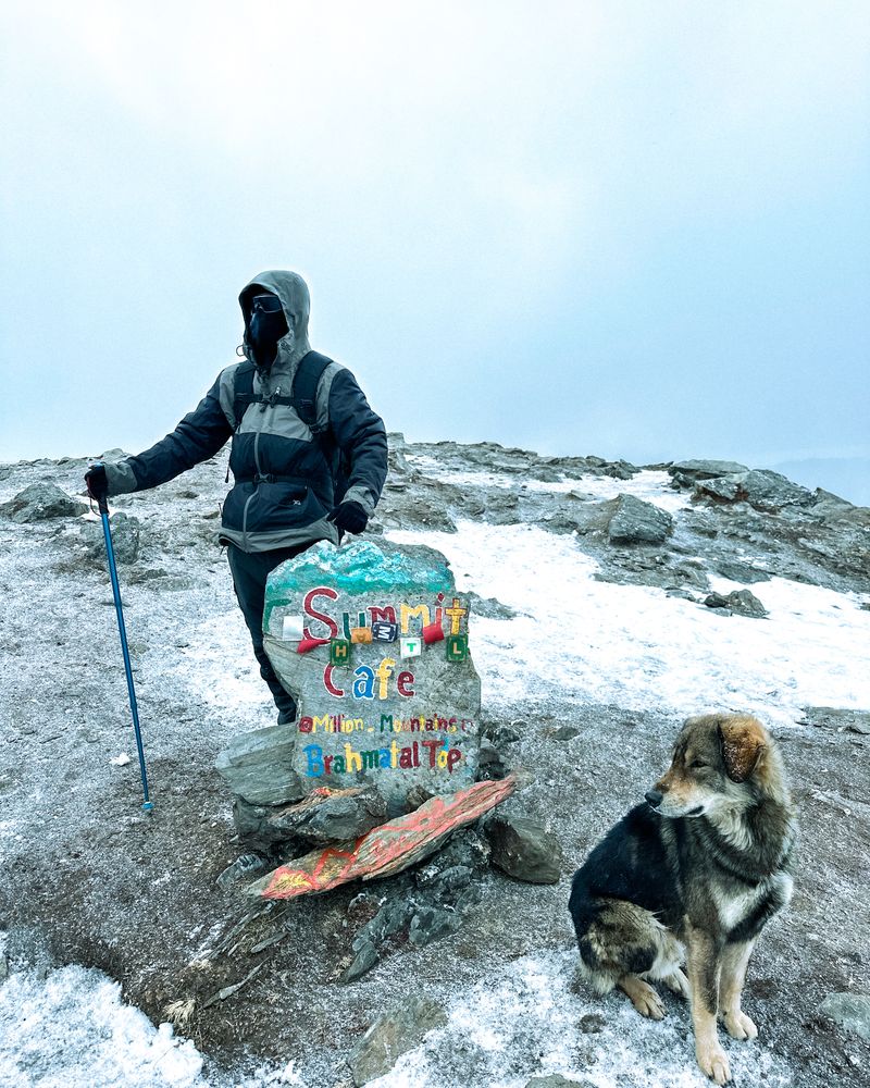 Brahmatal Trek — Trek & Adventure destination in Uttarakhand