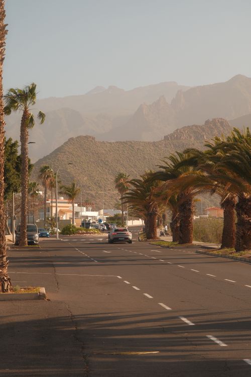 Free Deserted palm-lined street with scenic mountain view, under clear sky. Stock Photo