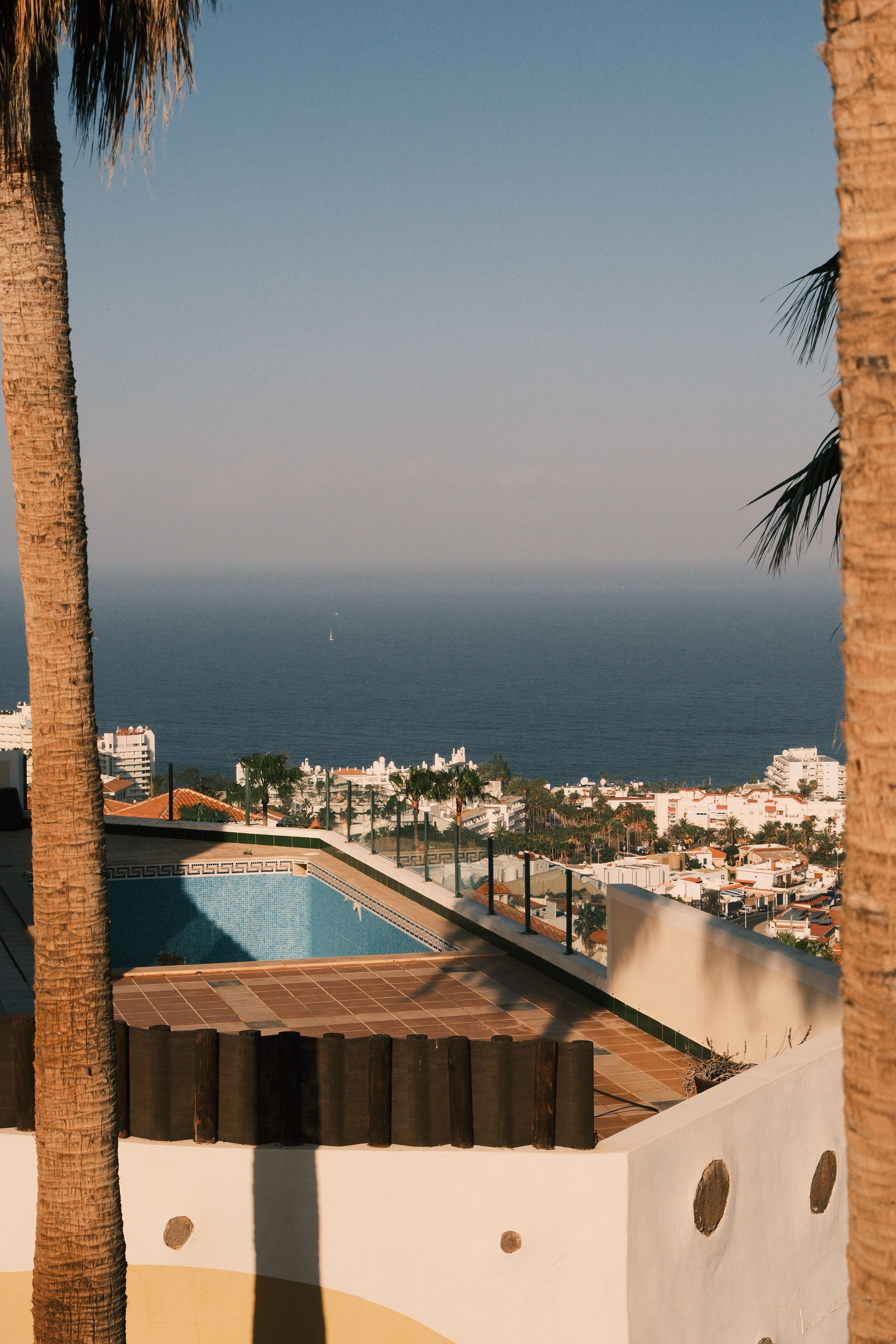 Palm trees and pool with sea view over Maspalomas, Gran Canaria