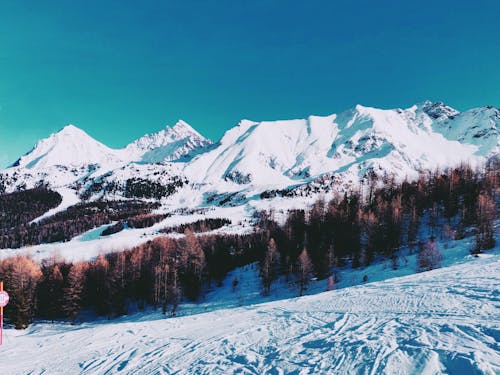 Foto d'estoc gratuïta de cobert de neu, constipat, estació d'esquí