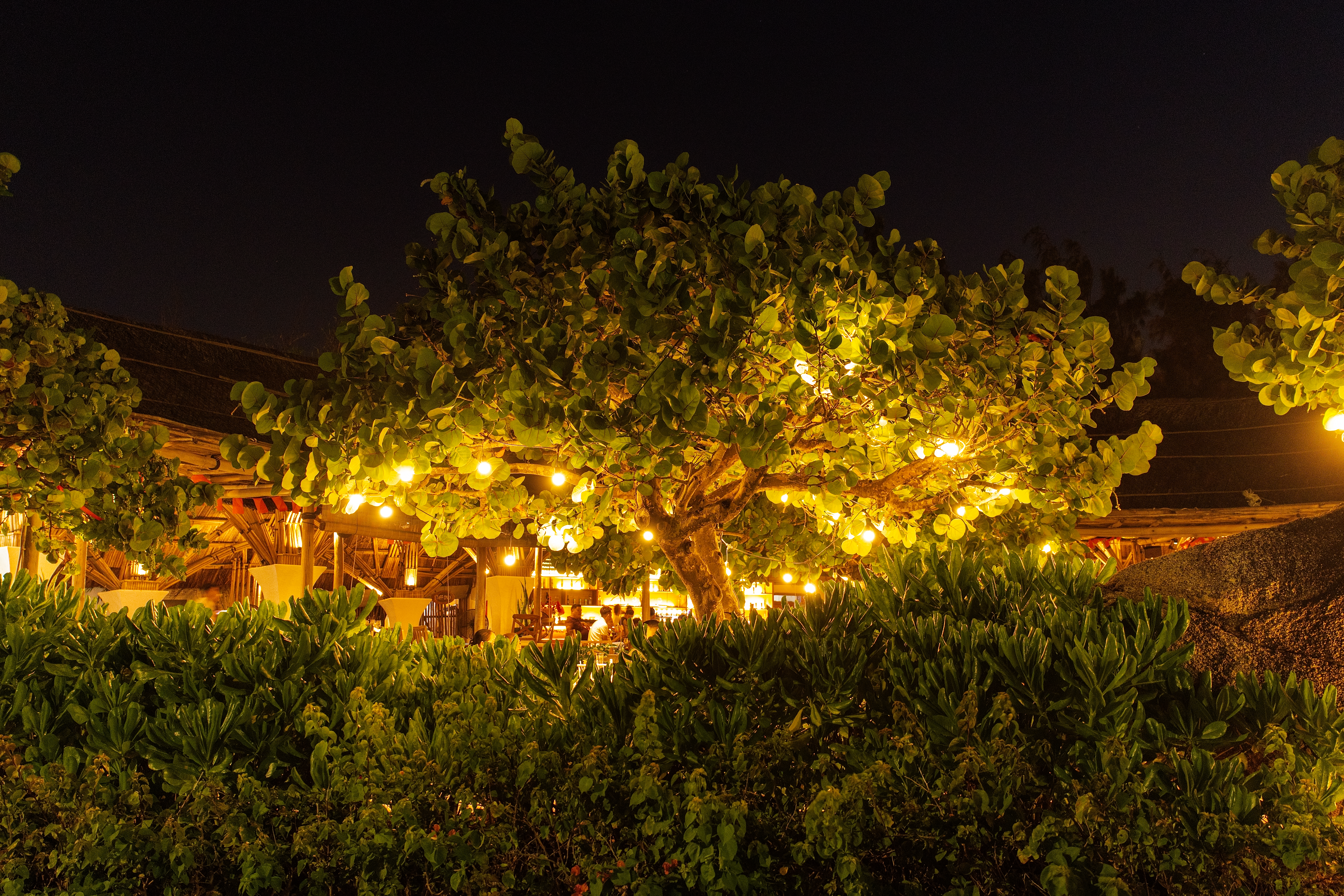 Things To Do in Providenciales at Night — Providenciales travel guide photo