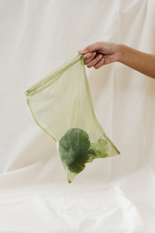 Person Holding Green Broccoli in a  Clear Bag