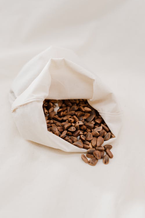Základová fotografie zdarma na téma ekologicky šetrné, kávová zrna, látková taška