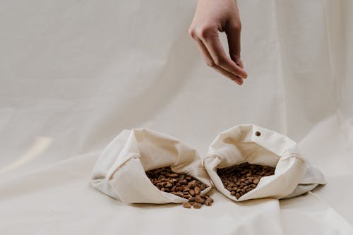 Free A Person Holding Brown Coffee Beans Stock Photo