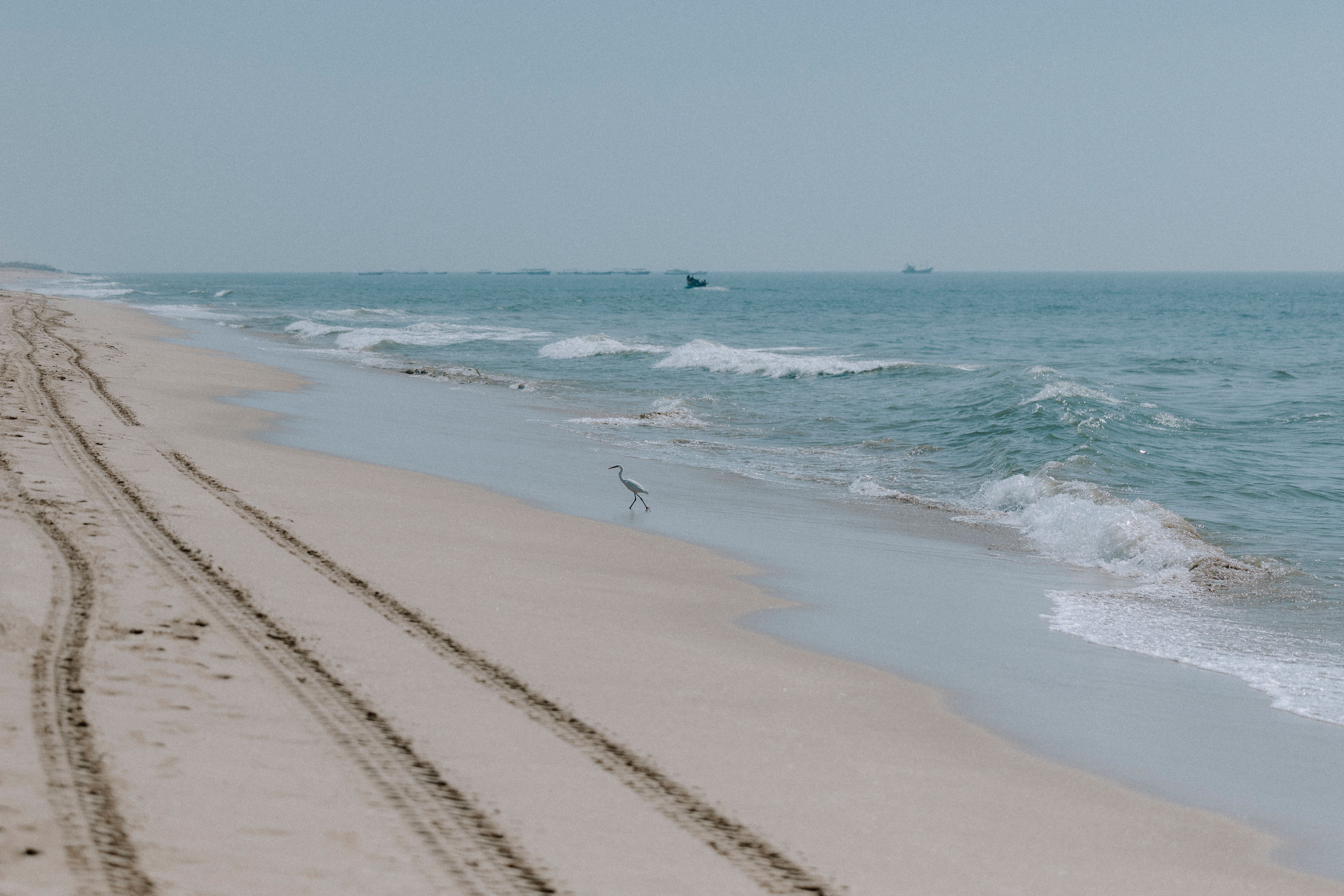 How to Enter Sweepstakes in Virginia Beach, Virginia Without Scams
