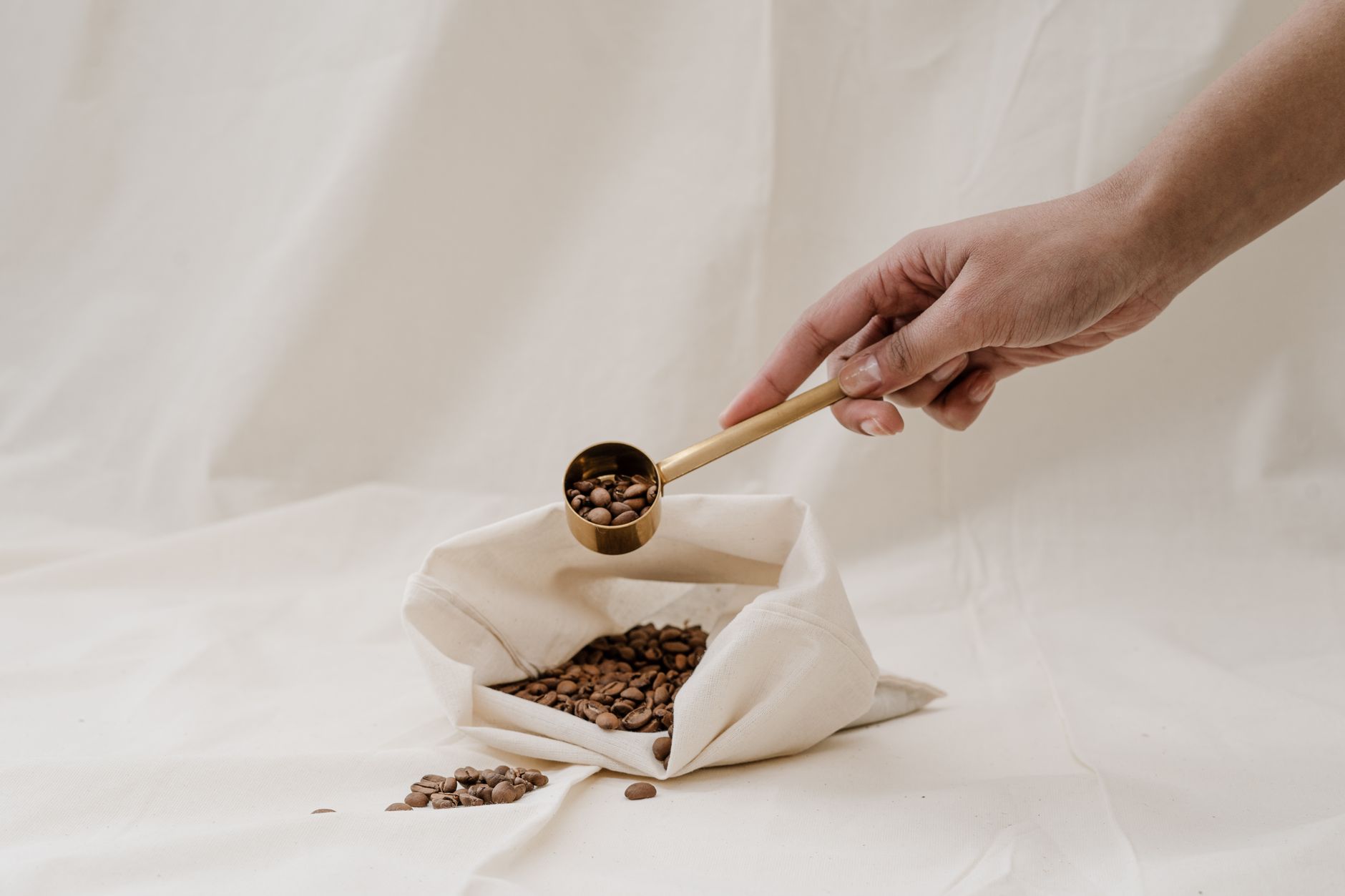Best Coffee Scoop Sets Under $15 (2026)