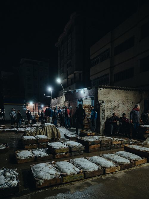 Free A lively fish market scene at night with vendors and customers amid ice-covered fish crates. Stock Photo