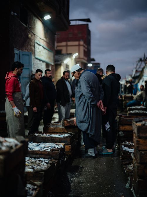 Free People gathering at a bustling fish market in the early hours, showcasing diverse interactions and fresh seafood. Stock Photo