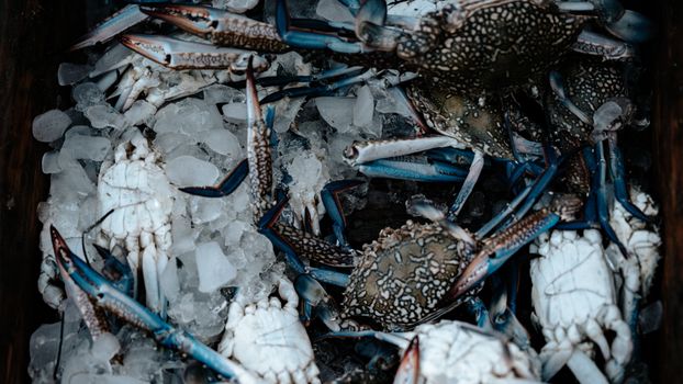 Several crabs with blue legs resting on crushed ice at a seafood market, showcasing freshness.