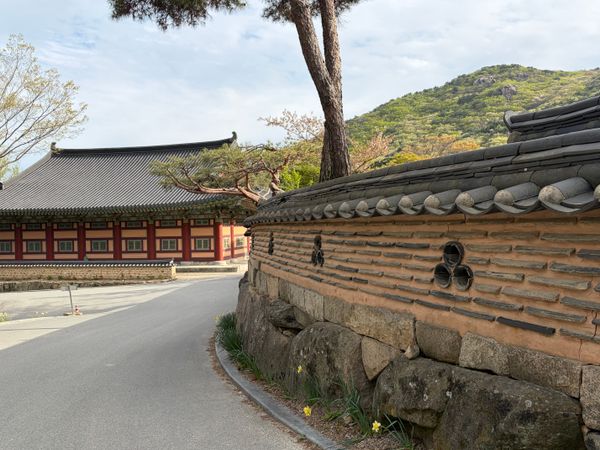 Cultural Tour of Busan