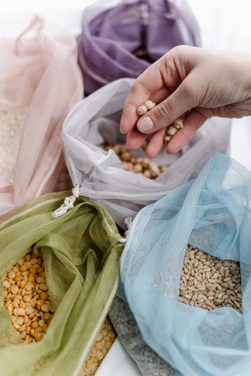 Person Holding Corn on White Plastic Bag