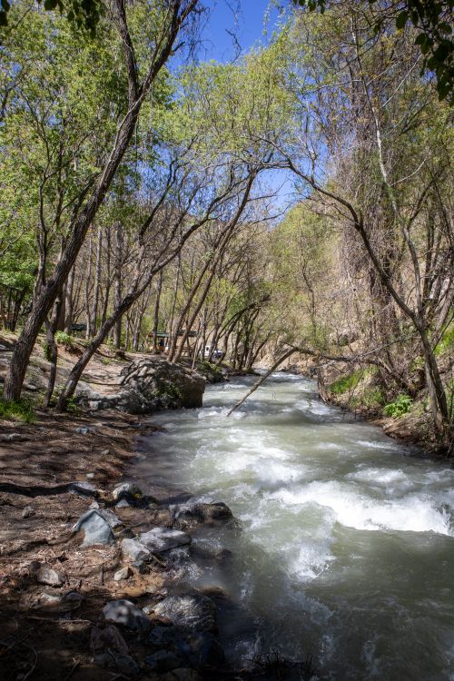 Free Tranquil river surrounded by lush trees in a scenic outdoor setting in Palu, Elazığ, Türkiye. Stock Photo