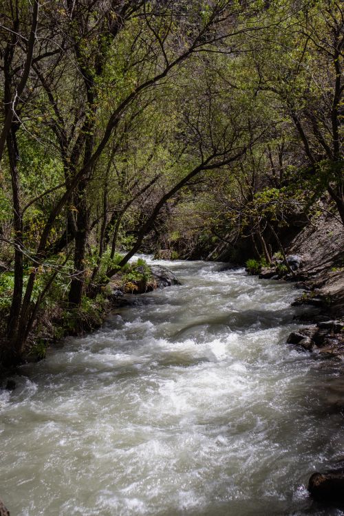 Free Tranquil scene of a river surrounded by lush greenery in Palu, Elazığ, Türkiye. Stock Photo