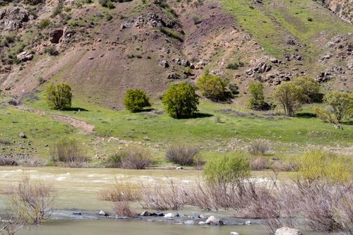 Free Lush green valleys by the river in Palu, Elazığ, Türkiye, showcasing spring's vibrant nature. Stock Photo