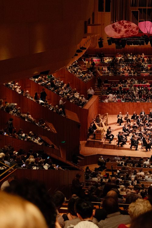 Free A captivating image of a full audience enjoying a live concert at the Sydney Opera House. Stock Photo