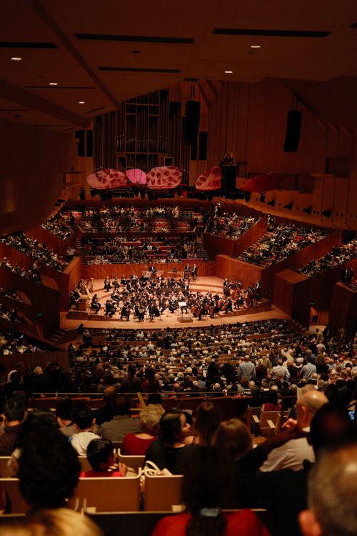Free A captivating orchestral performance inside the iconic Sydney Opera House. Stock Photo