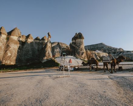 Explore Cappadocia's unique rock formations and camel rides under a clear sky.