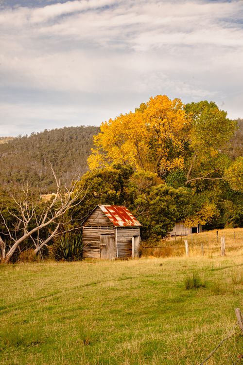 Free A rustic barn amidst golden autumn trees and rolling hills creates a serene countryside feel. Stock Photo