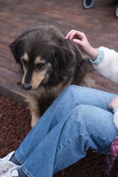 A close-up of a person petting a dog on a wooden deck, showcasing a warm, affectionate moment.