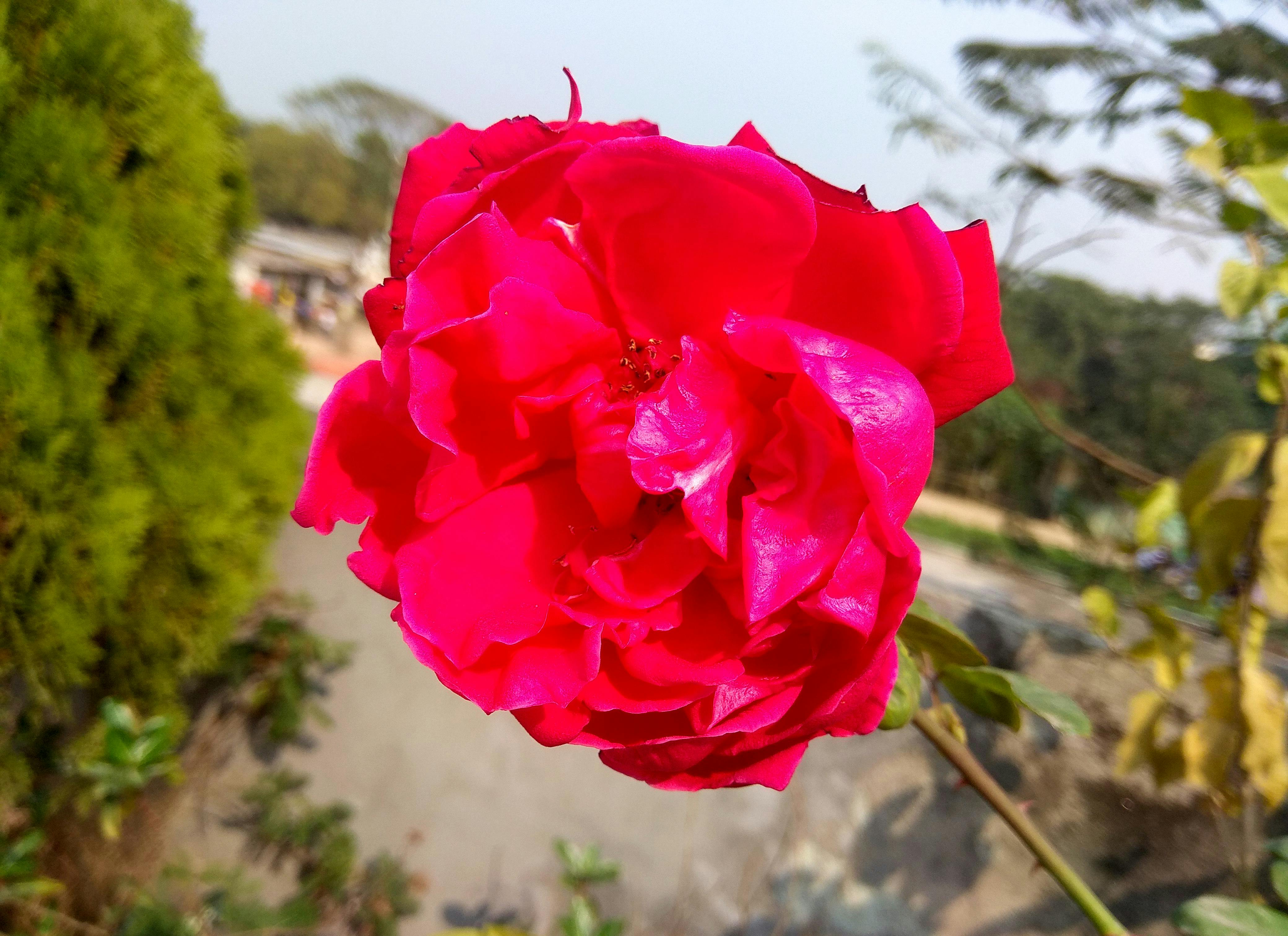 Walk-in freezer door, gasket and insulation repair