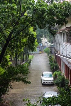 A peaceful urban alley drenched in rain with parked cars and lush greenery.