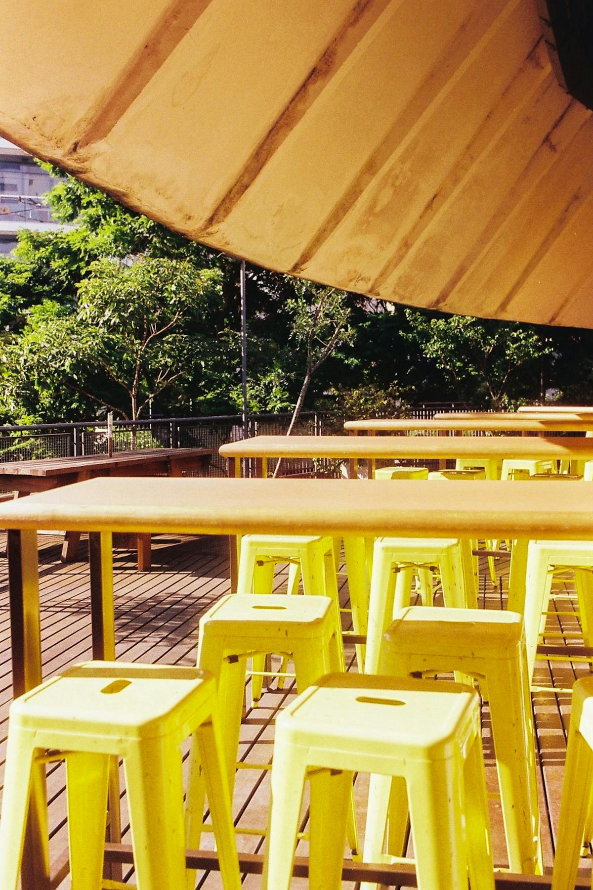 Chopped colorful vegetables including red cabbage, carrots, and cucumbers on a cutting board