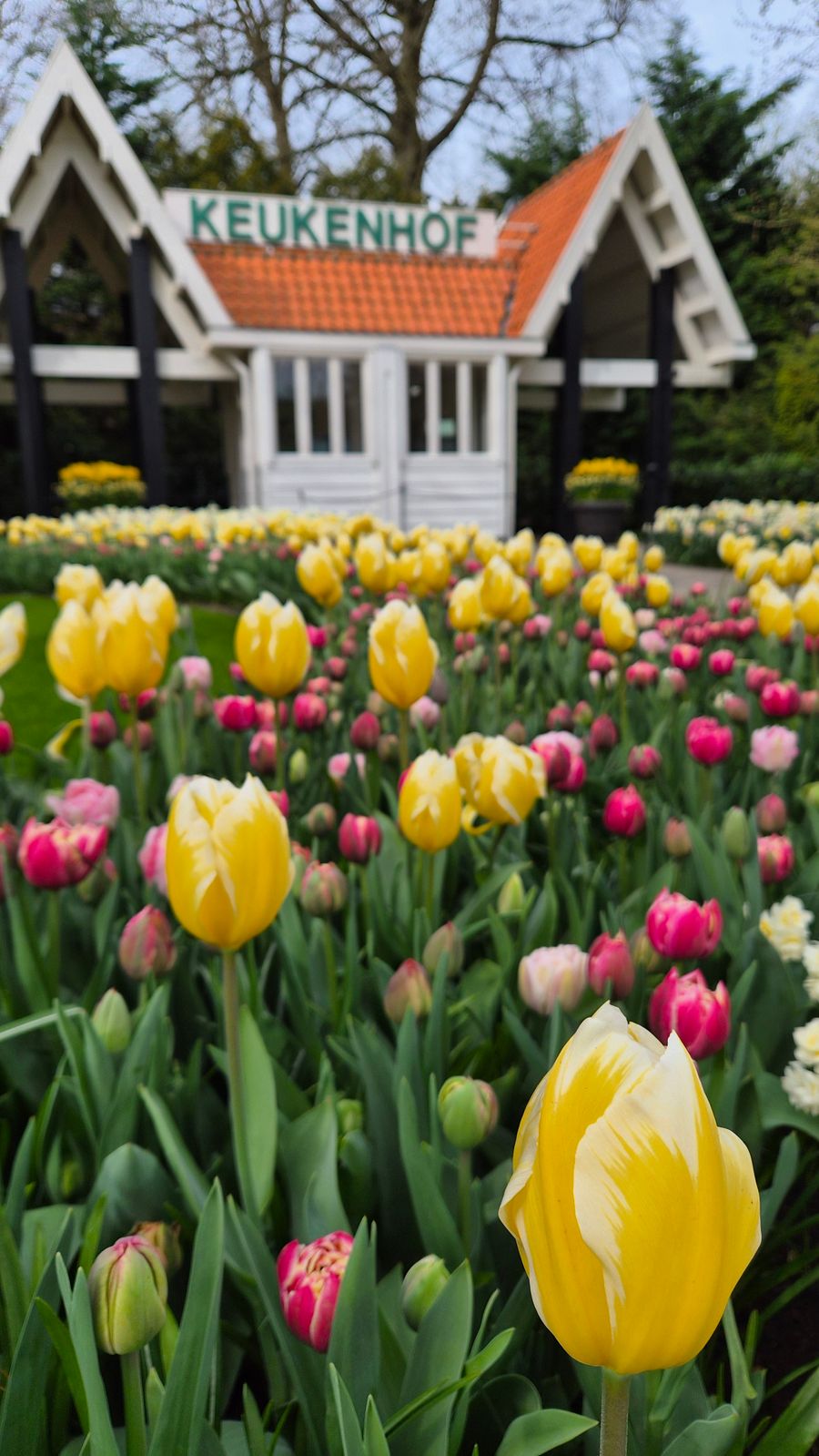 Les jardins de Keukenhof